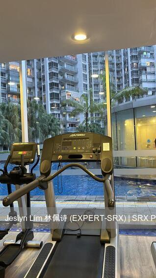The Parc Condominium (D5), Condominium #489777261